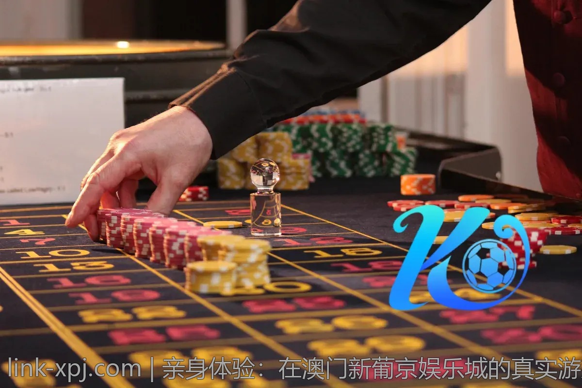 亲身体验：在澳门新葡京娱乐城的真实游戏回顾