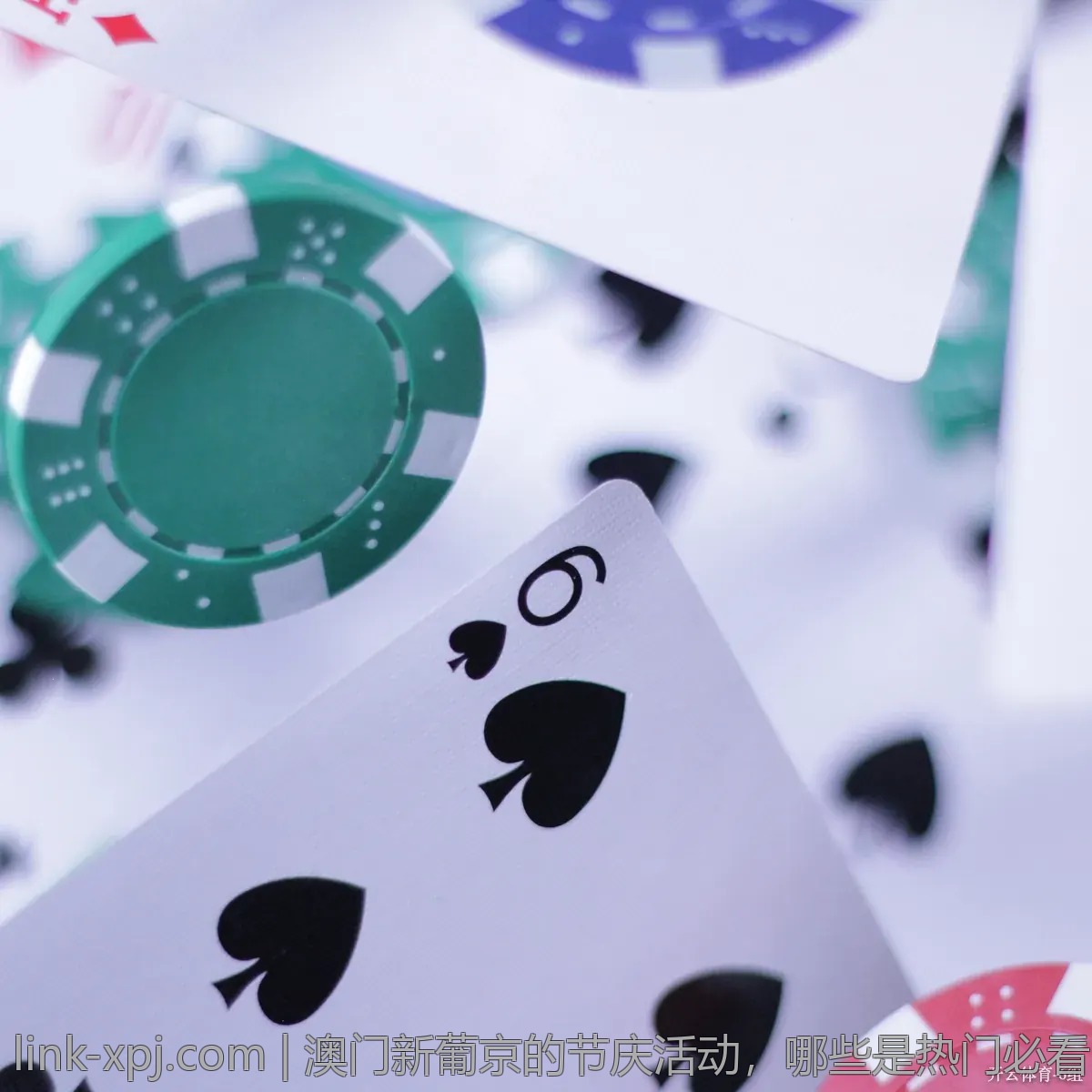澳门新葡京的节庆活动，哪些是热门必看？