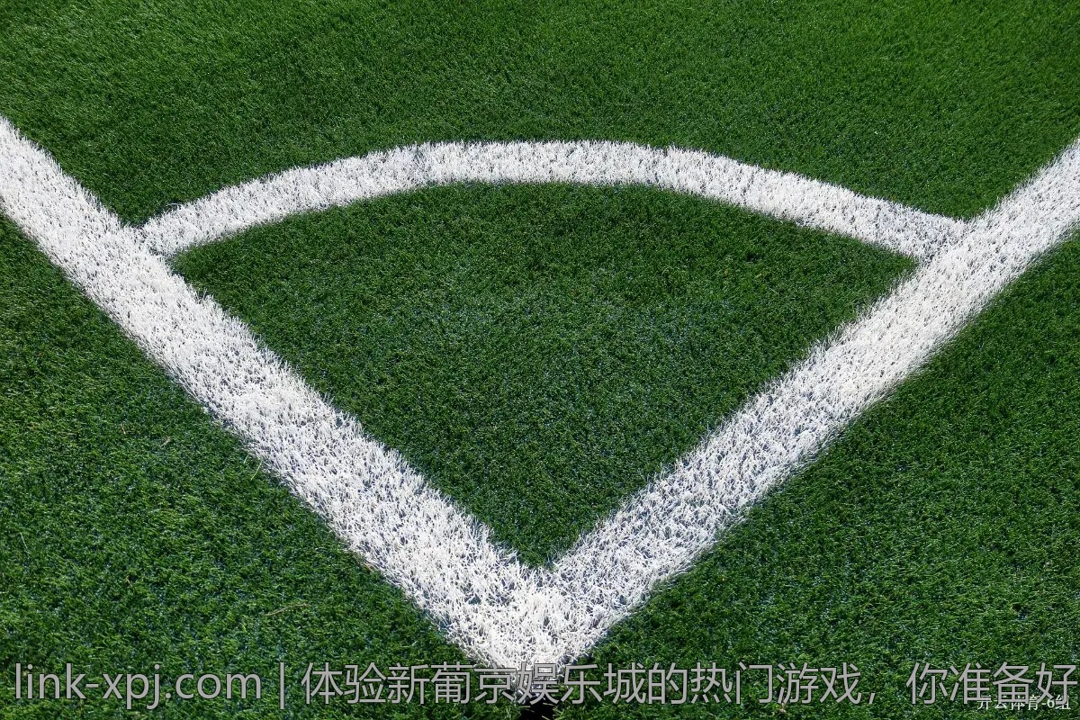 体验新葡京娱乐城的热门游戏，你准备好了吗？
