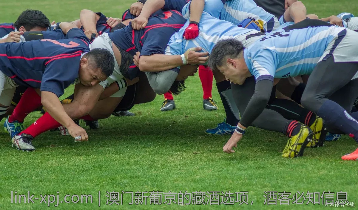 澳门新葡京的藏酒选项，酒客必知信息