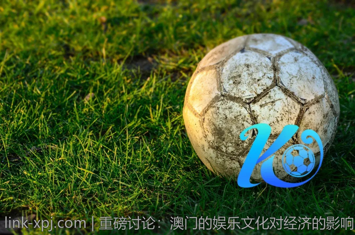 重磅讨论：澳门的娱乐文化对经济的影响